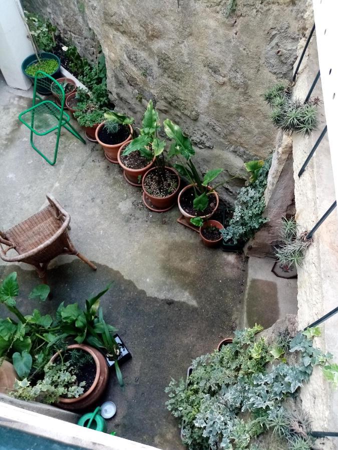 Casa Da Judiaria Velha Otel Viseu Dış mekan fotoğraf