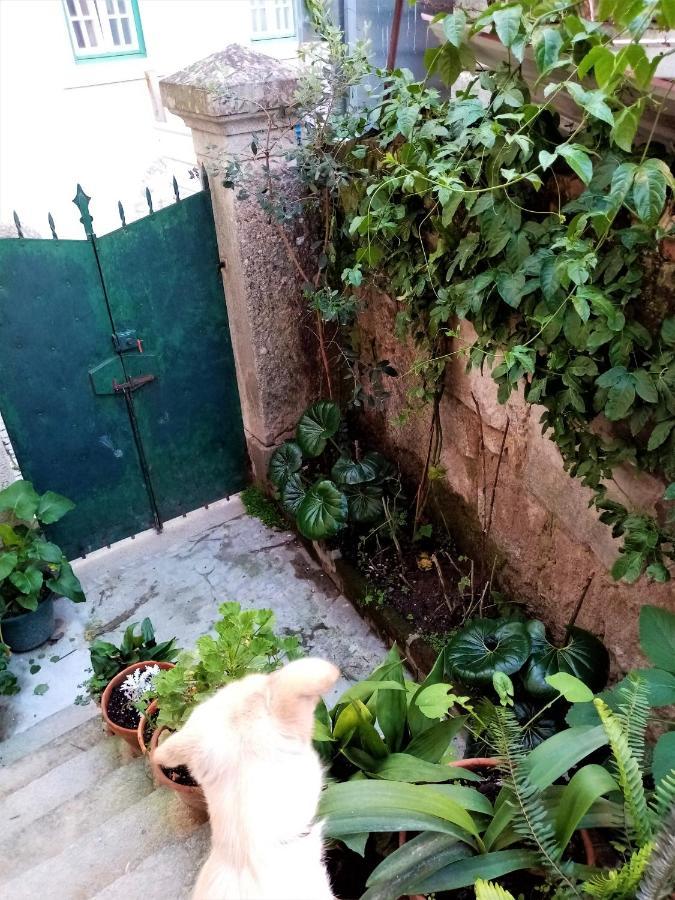 Casa Da Judiaria Velha Otel Viseu Dış mekan fotoğraf