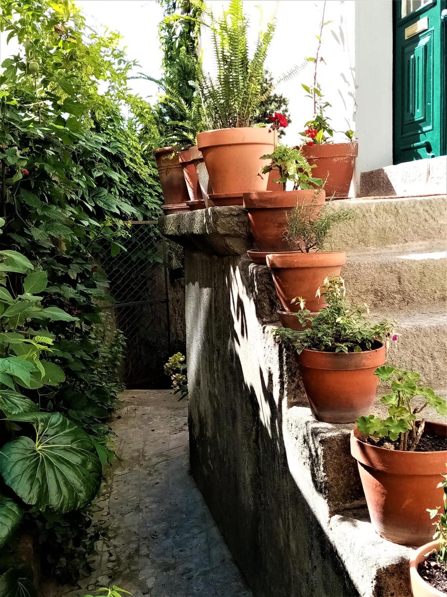 Casa Da Judiaria Velha Otel Viseu Dış mekan fotoğraf